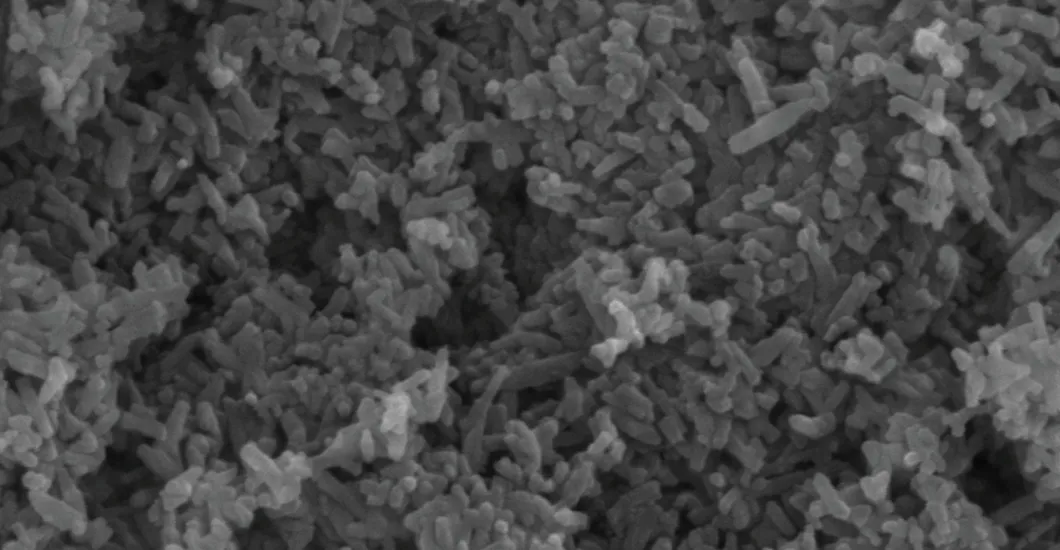 High magnification_NEW