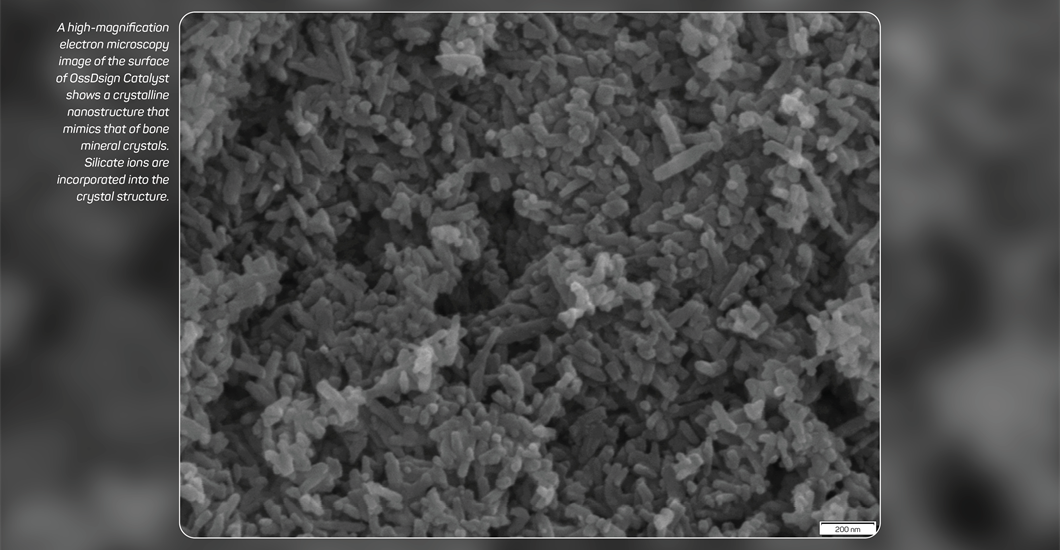1029x685px_grey_blurbackground_textleft