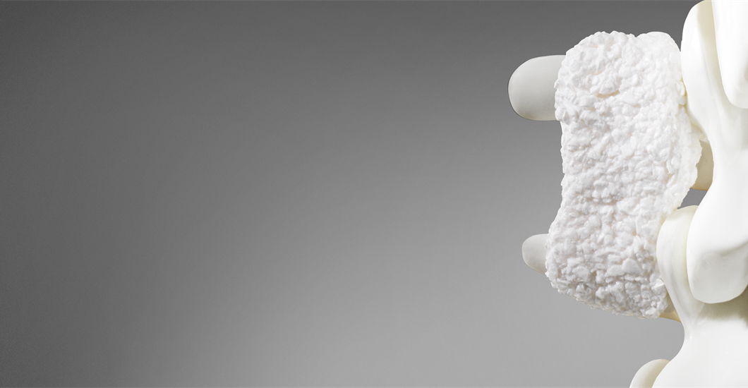 Catalyst spine 650x300 px