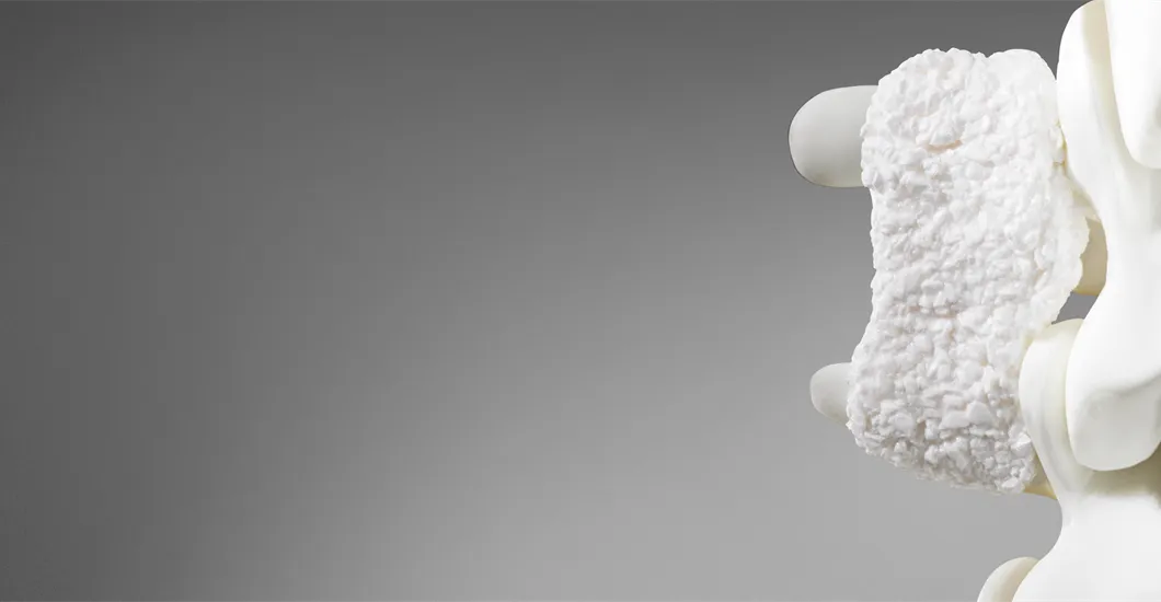 Catalyst spine 650x300 px